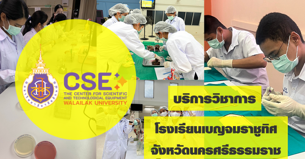 ศูนย์เครื่องมือวิทยาศาสตร์และเทคโนโลยี มหาวิทยาลัยวลัยลักษณ์ จัดกิจกรรมฝึกทักษะกระบวนการทางวิทยาศาสตร์และเทคโนโลยี ให้กับนักเรียนจากโรงเรียนเบญจมราชูทิศ จังหวัดนครศรีธรรมราช