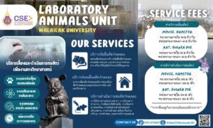 หน่วยสัตว์ทดลอง (Laboratory Animals Unit) ศูนย์เครื่องมือฯ ม.วลัยลักษณ์ เปิดให้บริการตามปกติและเปิดให้บริการครบทุกด้าน เพื่อสนับสนุนงานวิจัยและงานทางวิทยาศาสตร์ของนักวิจัย บุคลากร และหน่วยงานภายนอก