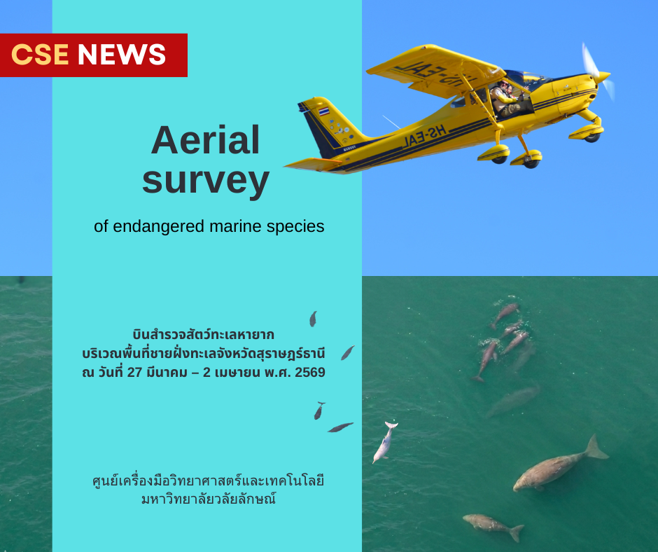 Aerial survey of endangered marine species to study the population and distribution in in Surat Thani Province on March 27 to April 2, 2026.